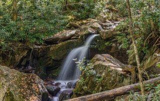 Smoky Mountain Waterfalls