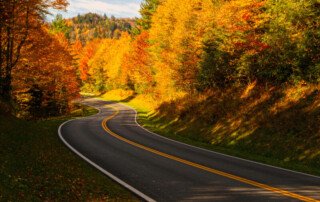 Fall foliage in the smoky mountains