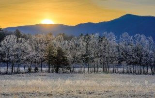 Winter in the Smoky Mountains