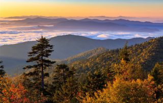 Things to do in the Smoky Mountains in March